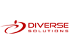 Diverse Solutions